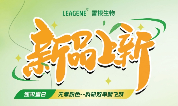 最新力作【考馬斯亮藍快速染色液（免脫色版）】，正式加入我們的產(chǎn)品家族！
